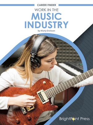 Work in the Music Industry - ebook